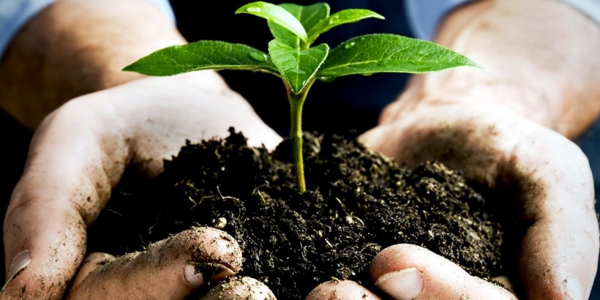 A Five-Step Plan to Feed the World