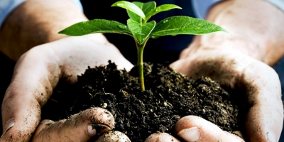 A Five-Step Plan to Feed the World